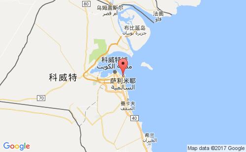 萨利米耶